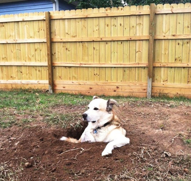 e00bd2578cb809ea500d8e8c0a