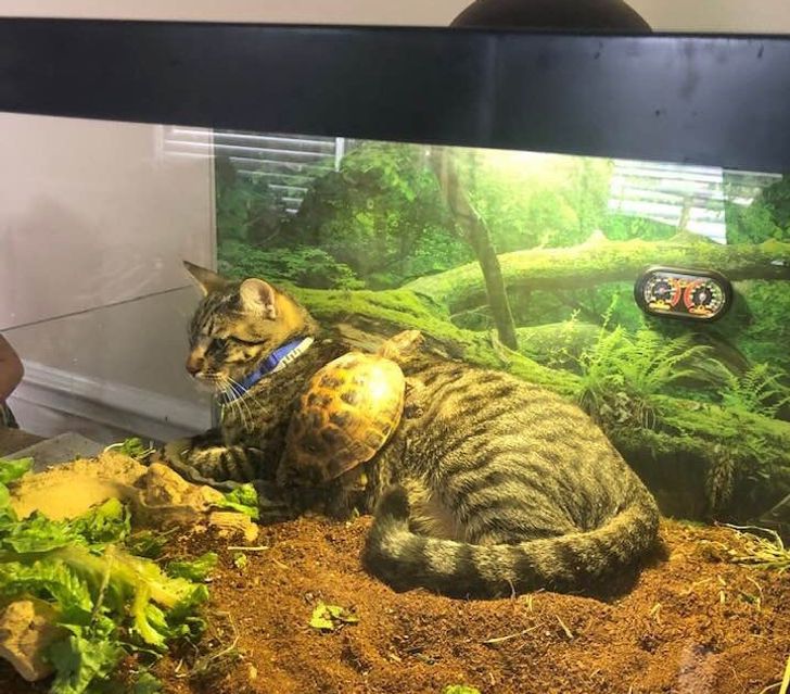 e017ba53f9a969756b573af227