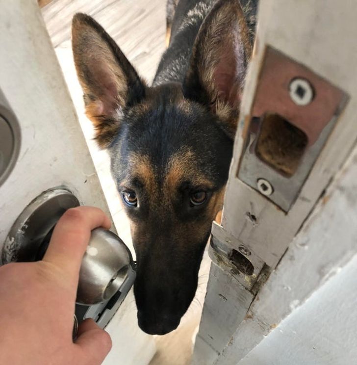 e017cc5c0a97bb4c43198775ba