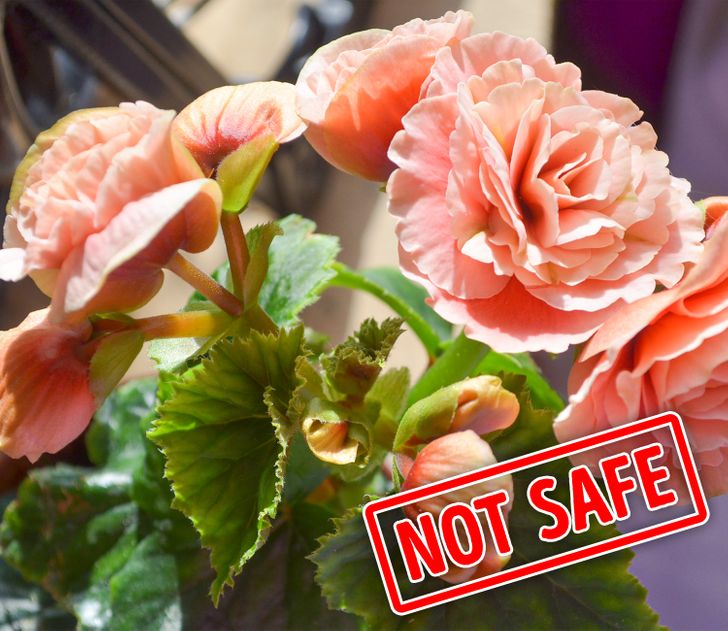 e017f1542b8775bccb3ebbc08d