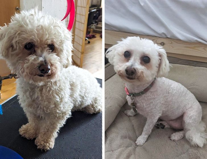 e01a8a56e58b2d17701eea6daf