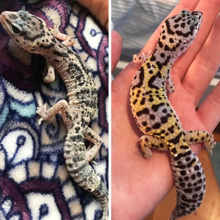 e01f4855728f3bd7ae15f002ba