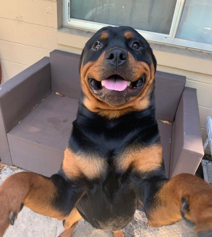 e0227b511593de46010b5e3297