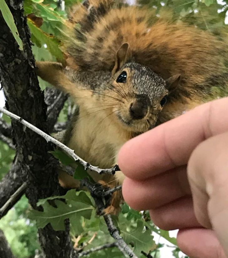 e0274a5f34a9de06bcc4a4d7b8