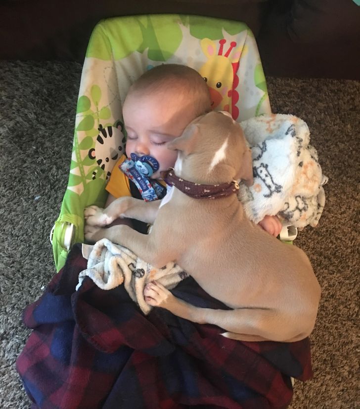 e027865607a6b6264caa1c95dc