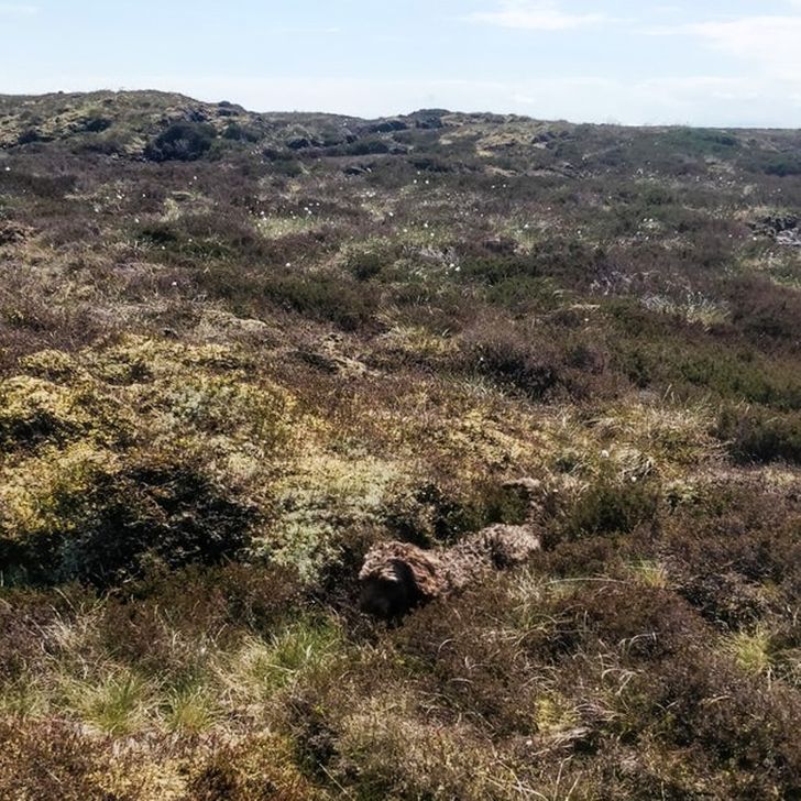 e0345456cb9aa82e7bc78594d7