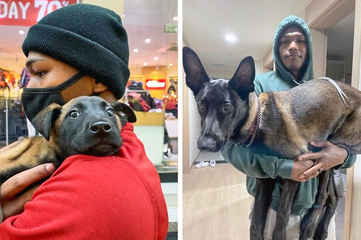 e03b4f5148866e47fe001f1879 e03b4f5148866e47fe001f1879