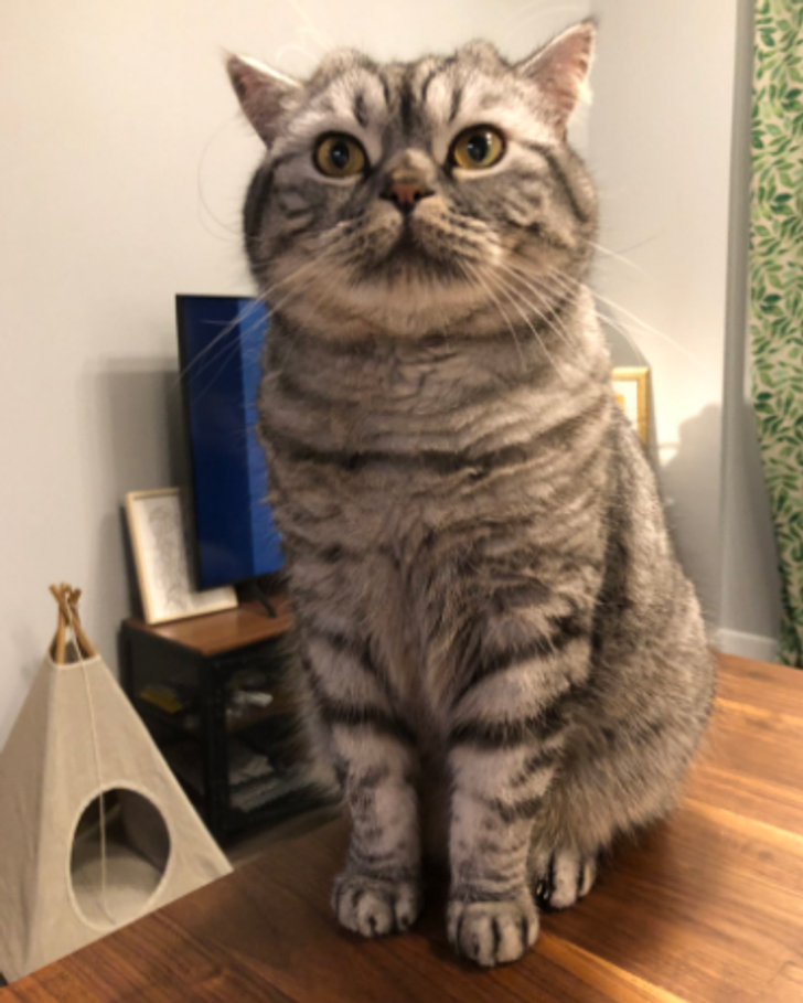 e049b55a859840a3a7805bc541