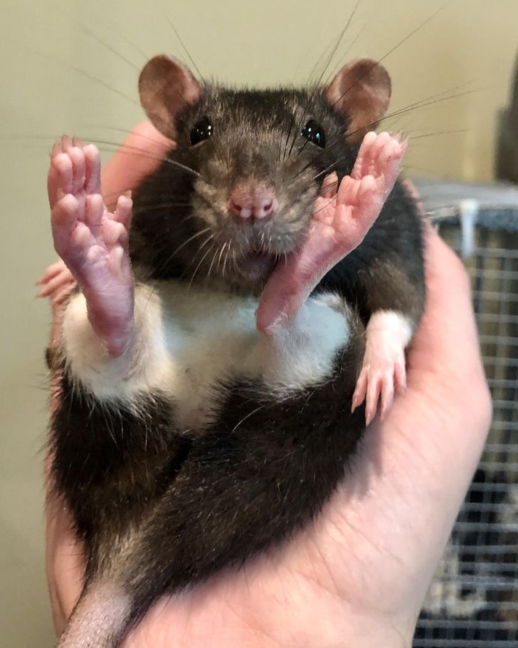 e056a65e06815b20a110c79486