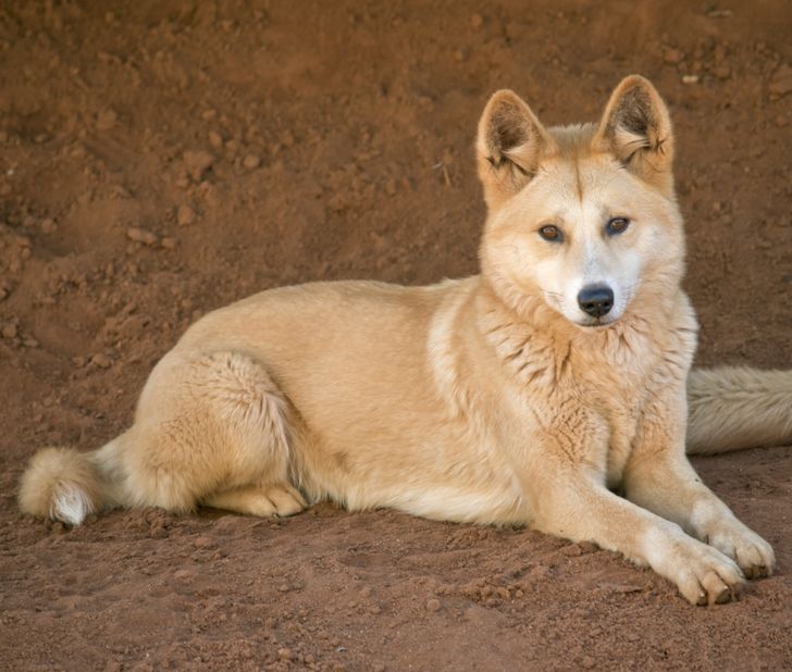 e05b9d5498b9ffc6002556fefe