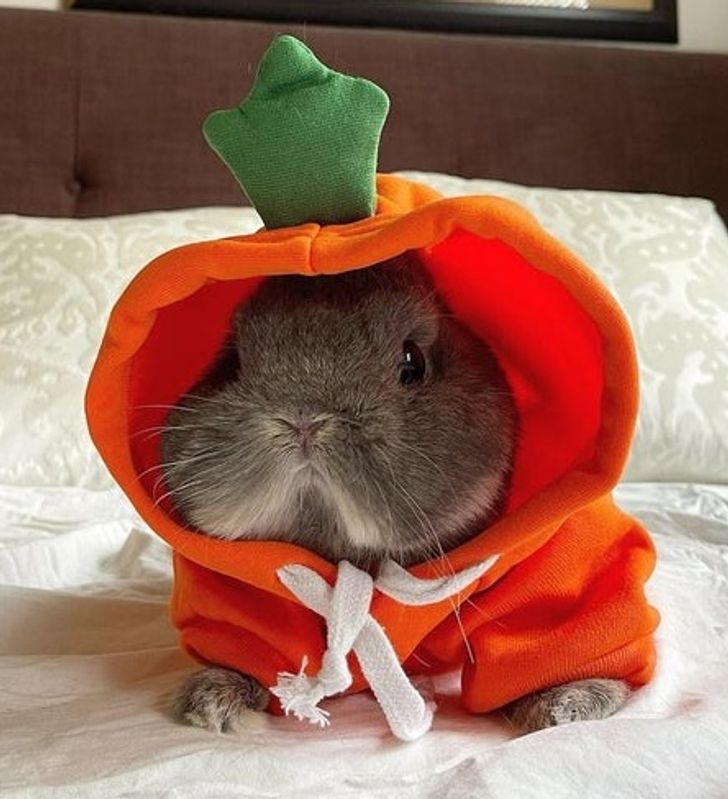 e05bf056fc9c161cc08d670fff