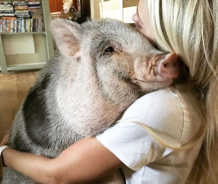 e070035661bd615f11eaec46f5