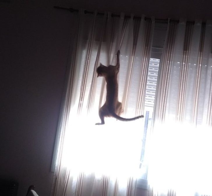 e075e15727b807d4b15d26bc60