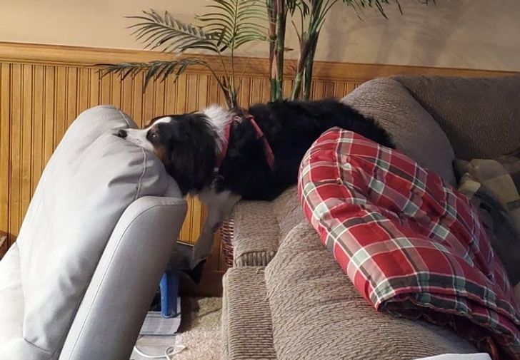 e077e559d9b0bd688e280c65a4