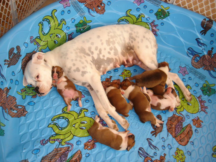 e07a41583786b57ecd3108a49d e07a41583786b57ecd3108a49d