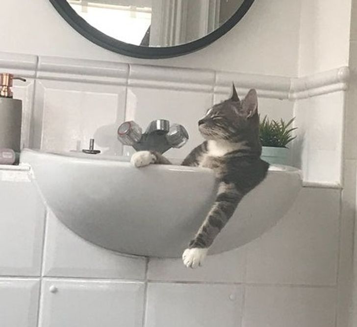 e07cfc53d6bb63c29aa5308b39