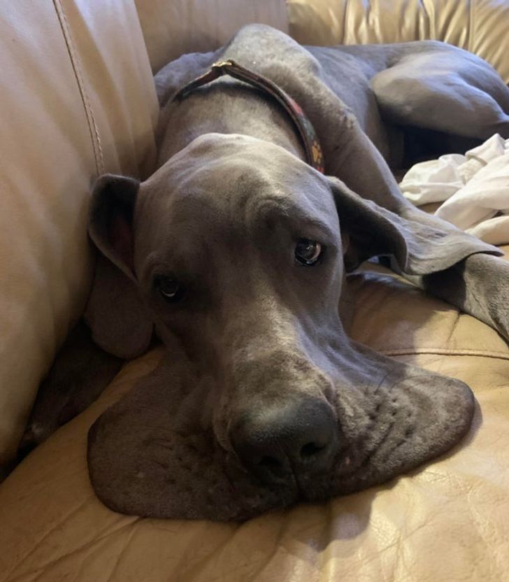 e081635f90b7976e86064456b8