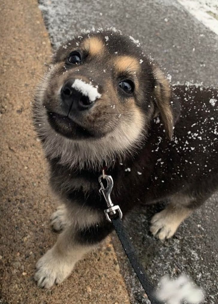 e087d35d149ead9a26ee314954