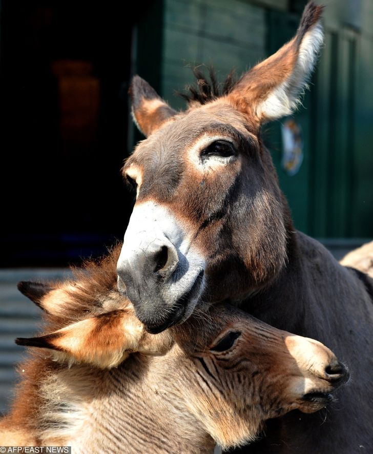 e089f751aa849c84e19b6cb23a