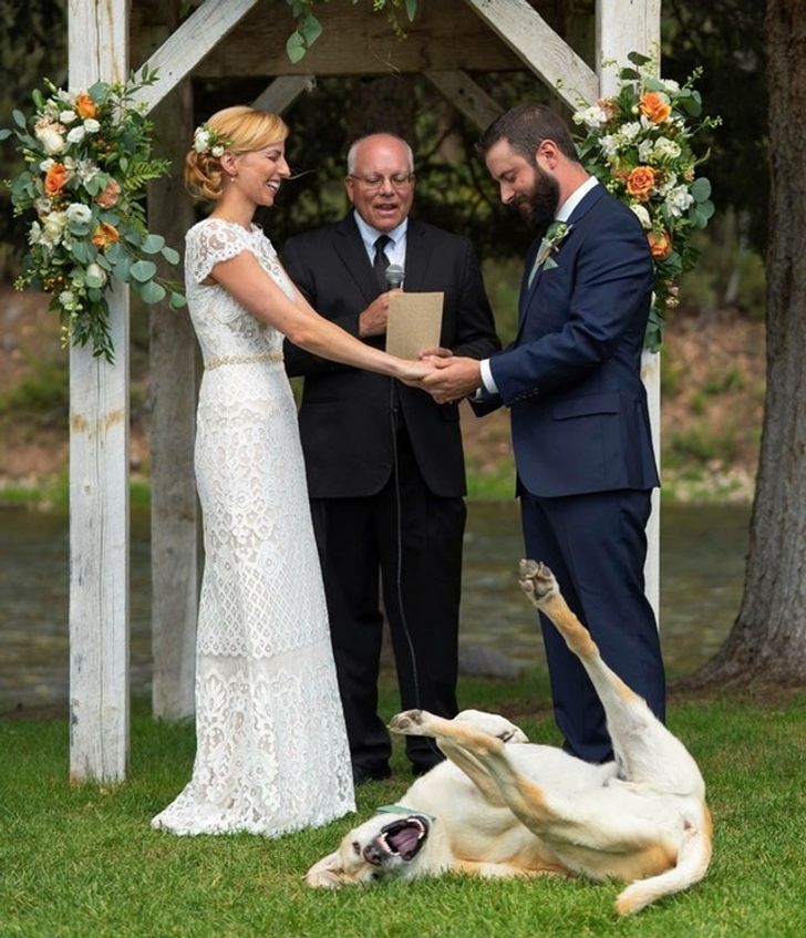 e08ae15643a45c2cc1c695c88a