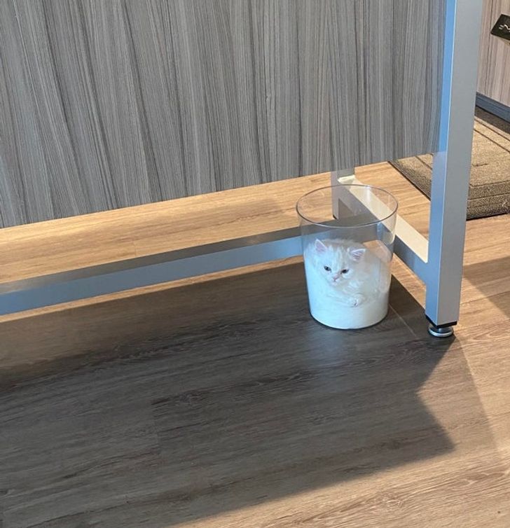 e08fcb53b8bca20bf8913c5f7c