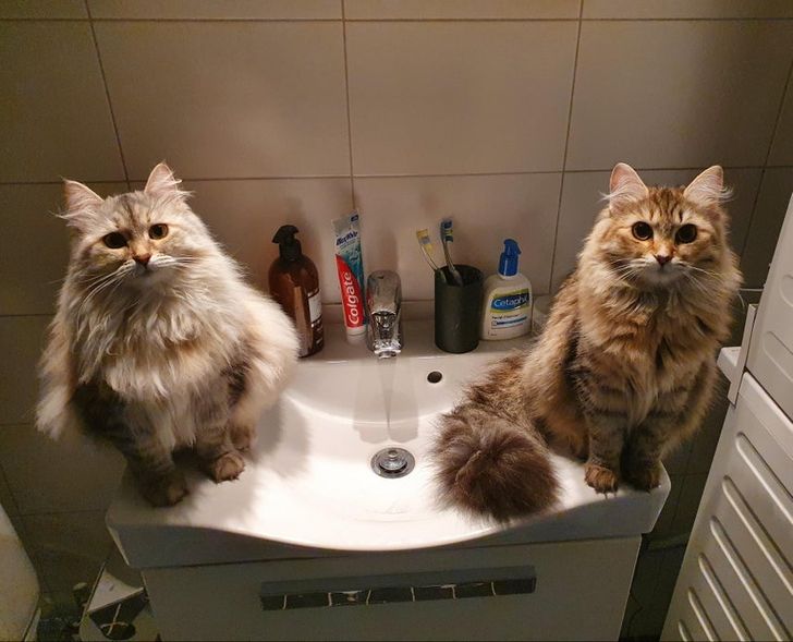 e099535d08898305dc8392169b