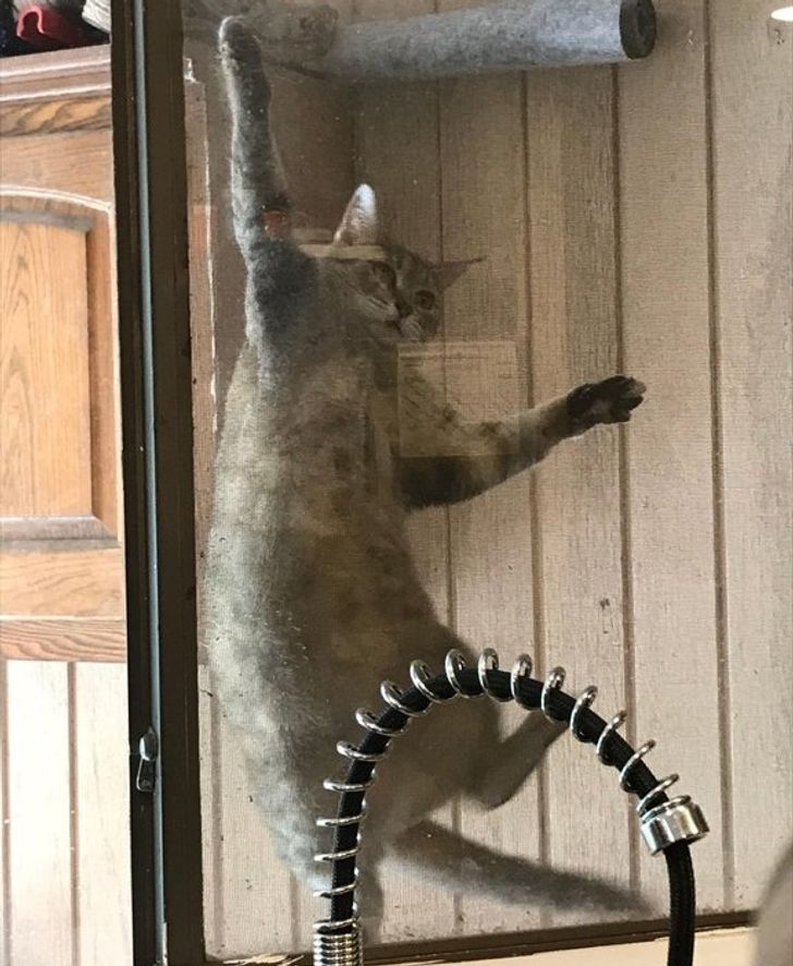 e0a08253269199c53de852bdce