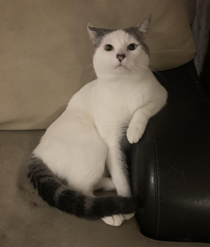 e0af41515dacd651d89f516b65