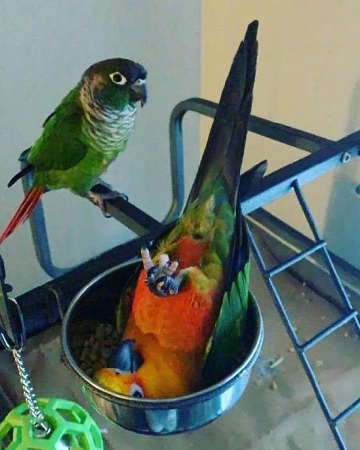 e0b0fc5484a51526ba10174fb4