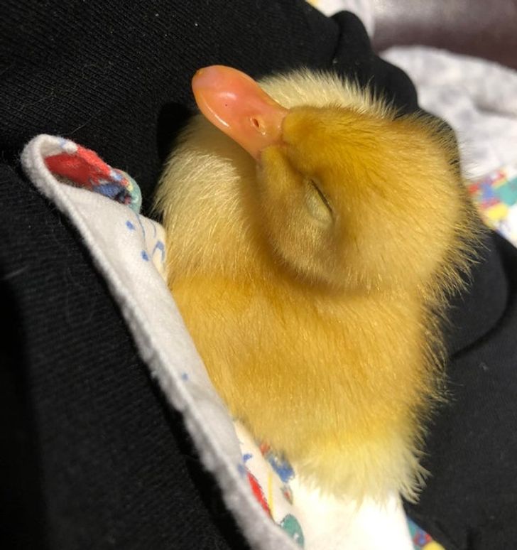 e0b45a5de4aad8cf7cc8b09d3b