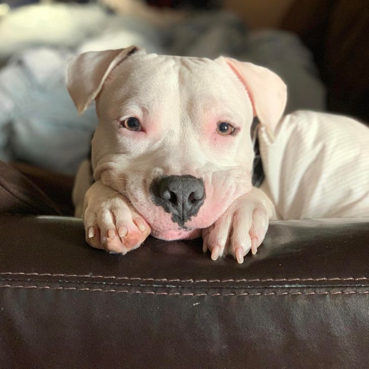 e0b7415809b7befee81dffb5d5