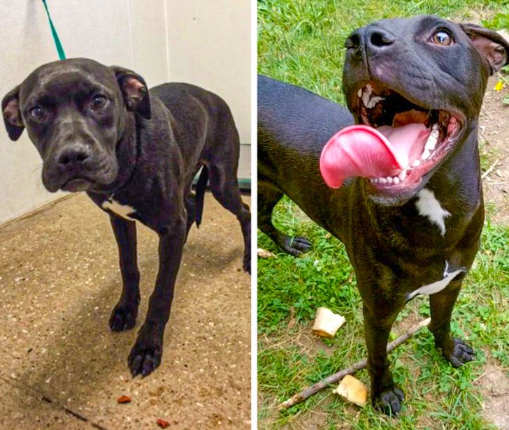 e0b8b8570695ff816a07fedb2a