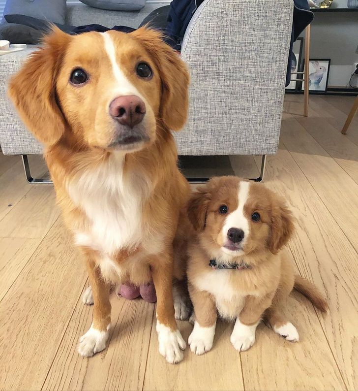 e0bb6a545785e75a0c8975adf2 e0bb6a545785e75a0c8975adf2