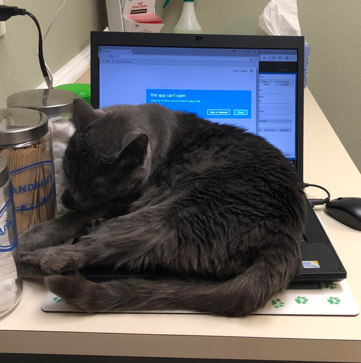 e0c067514eb833ddba36e4826a