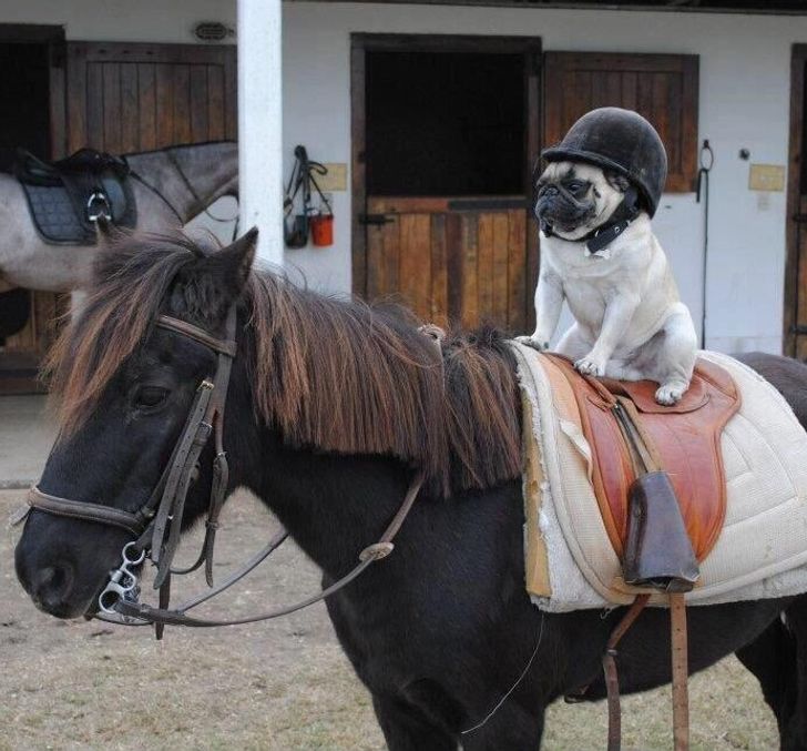 e0c5a15e039943983482b3a42e