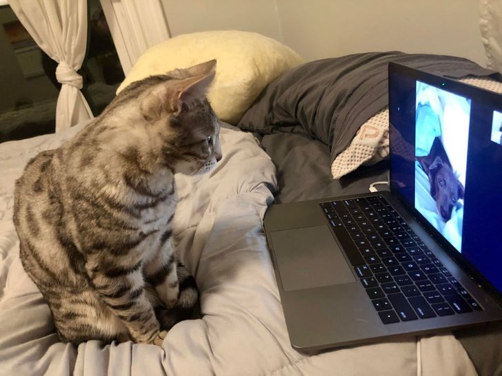 e0c8045d469fd24e1c845f1b9c