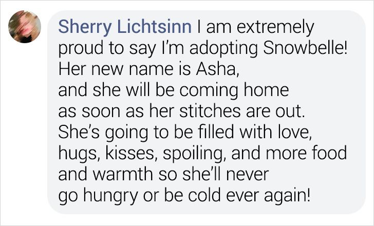 e0ca025ce79636e4ceb876736f