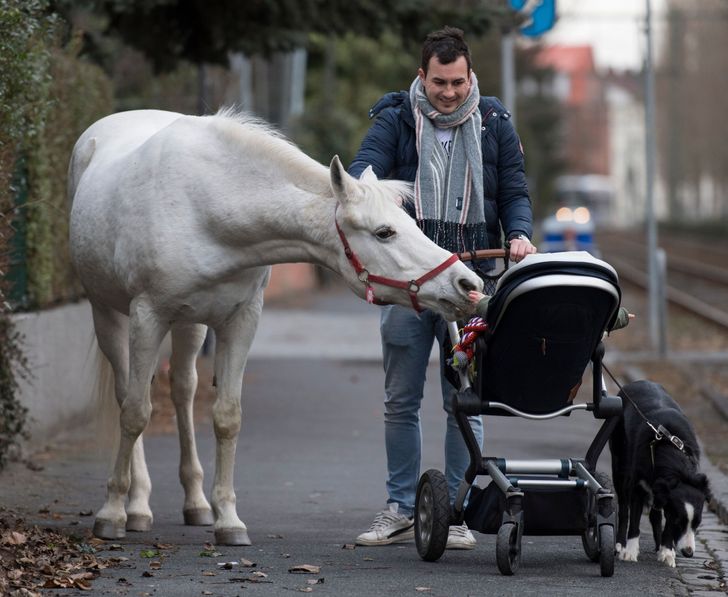 e0d1a255db8d049ce5d2990254