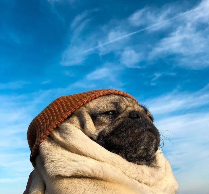 e0d2545ecabd8b567f1fb2e574