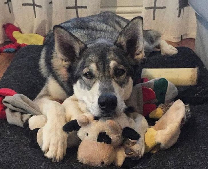 e0d3095652bbb974b939f9f449