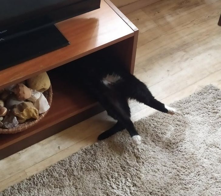 e0d3995136a4aecc9dc81834cf