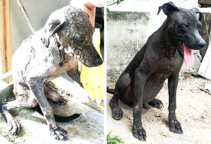 e0d41859b7be2f7cbb8ebc6b31