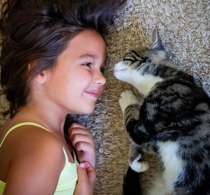 e0d888500facf23554d67c9c53