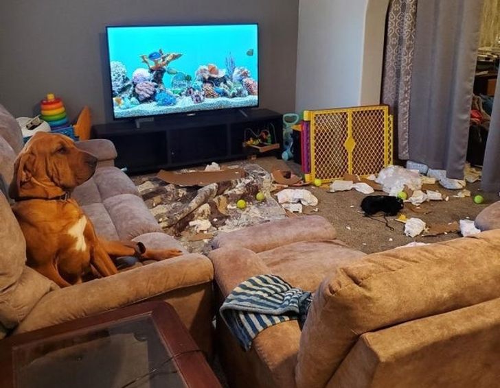 e0d9d85bb4a95496cb9007e872