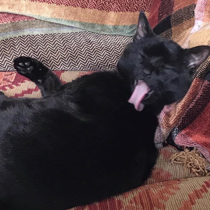 e0dc1951e7a64c6fe6d5f2d6a0