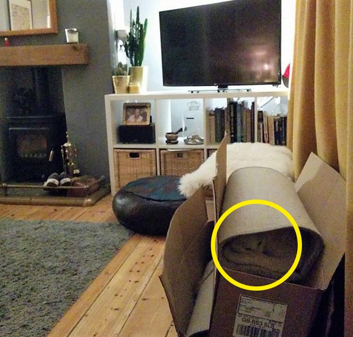 e0ddb65c2b81e60b6494613cfc