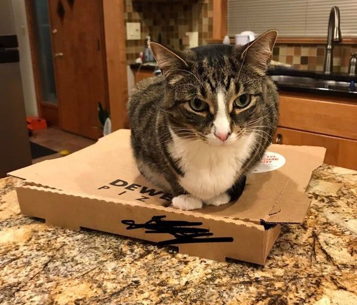 e0e2f856ecbc9979ba756bc6c1