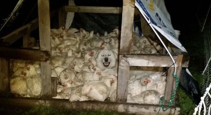 e0ea2e52b9beb74fd68b10f0ba