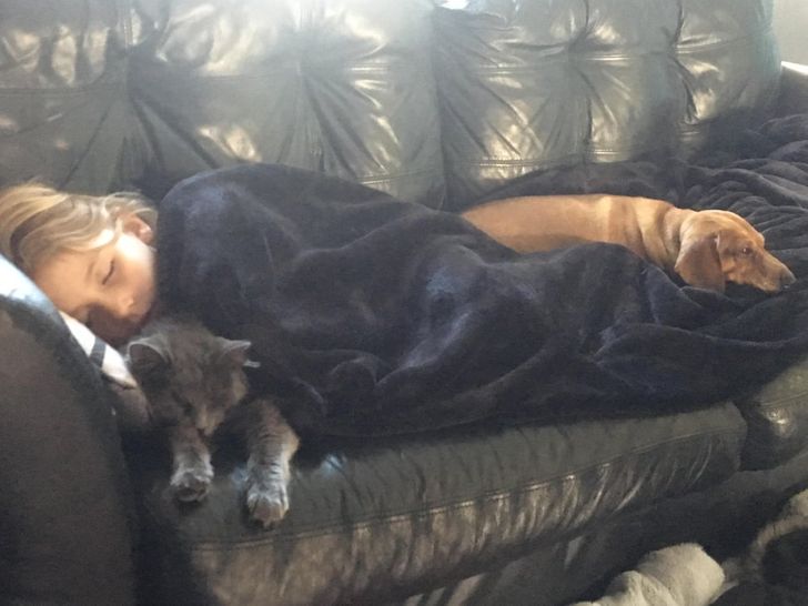 e0f9cf5c0baf53745b7acbf48e