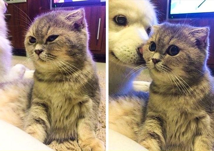 e110645172a22ff2385158dd64